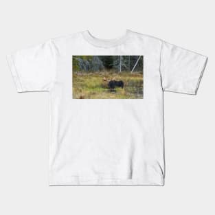 Bull Moose, Algonquin Park Kids T-Shirt